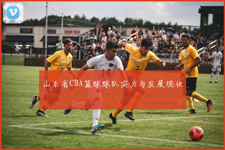 山东省CBA篮球球队实力与发展现状