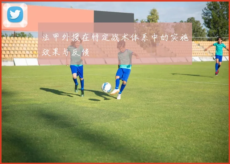 法甲外援在特定战术体系中的实施效果与反馈